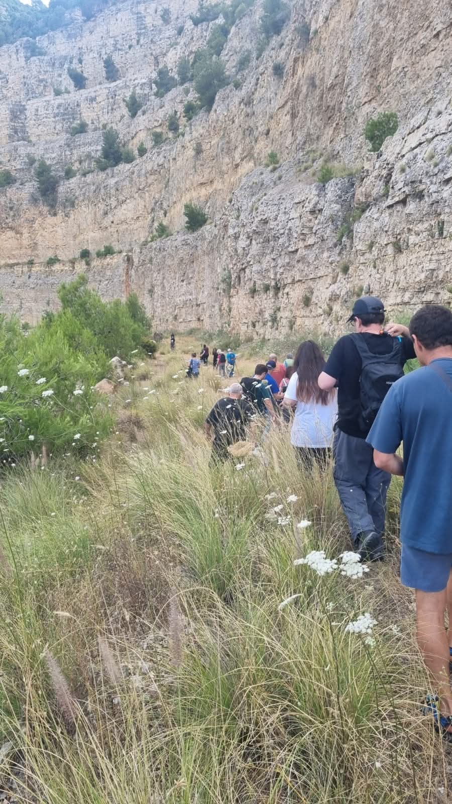 פעילות קהילתית בנשר